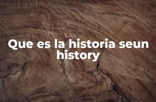 Que es la Historia Seun History