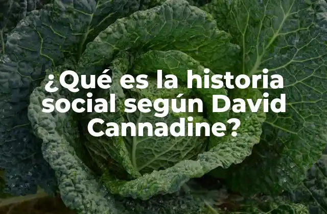 ¿qué es la Historia Social según David Cannadine?