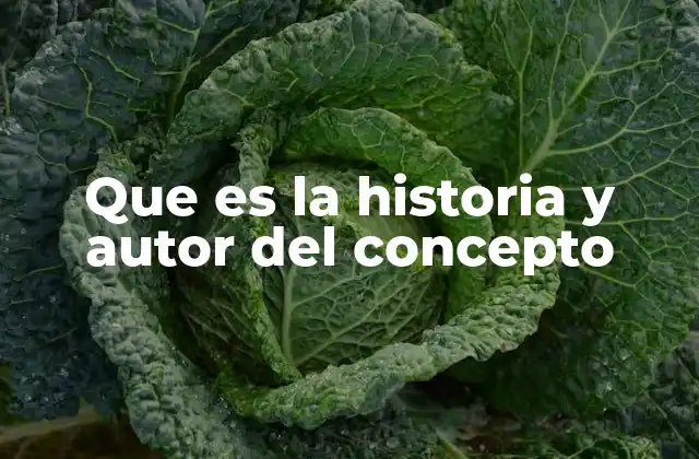 Que es la Historia y Autor Del Concepto