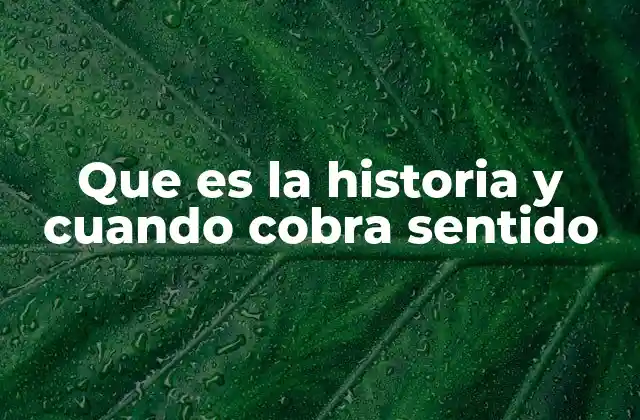 Que es la Historia y Cuando Cobra Sentido