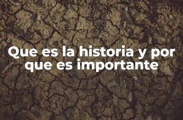 Que es la Historia y por que es Importante