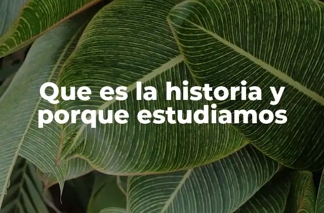 Que es la Historia y Porque Estudiamos