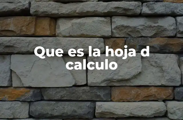 Que es la Hoja D Calculo