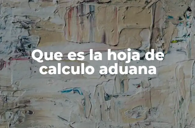 Que es la Hoja de Calculo Aduana