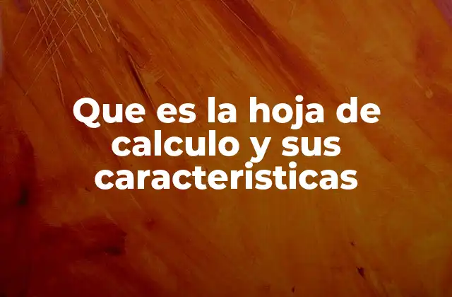 Que es la Hoja de Calculo y Sus Caracteristicas