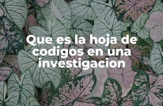 Que es la Hoja de Codigos en una Investigacion