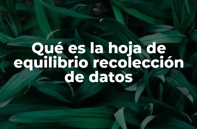 Qué es la Hoja de Equilibrio Recolección de Datos