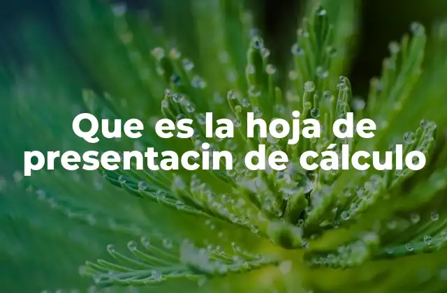 Las funciones principales de una hoja de cálculo