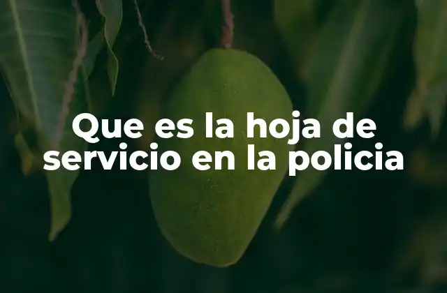 Que es la Hoja de Servicio en la Policia