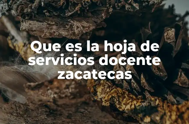 La importancia de la hoja de servicios en la administración educativa zacatecana