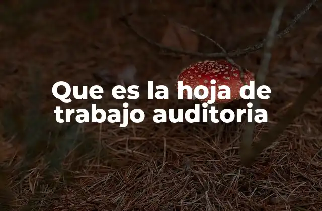Que es la Hoja de Trabajo Auditoria