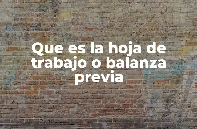 Que es la Hoja de Trabajo o Balanza Previa