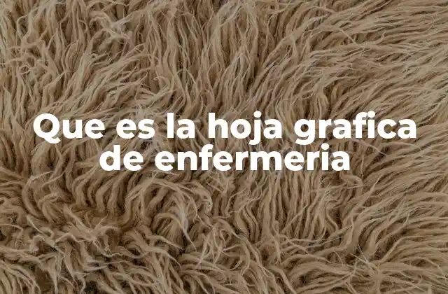 Que es la Hoja Grafica de Enfermeria