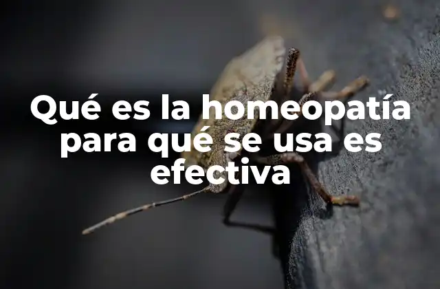 Qué es la Homeopatía para Qué Se Usa es Efectiva 2 El funcionamiento de la homeopatía sin mencionar directamente el término