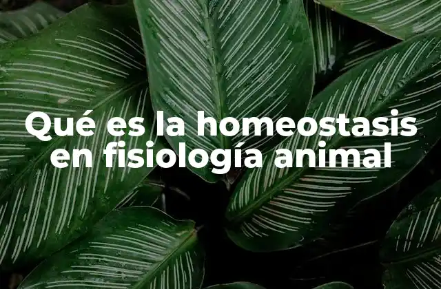 Qué es la Homeostasis en Fisiología Animal