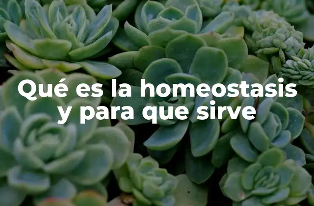 Qué es la Homeostasis y para que Sirve
