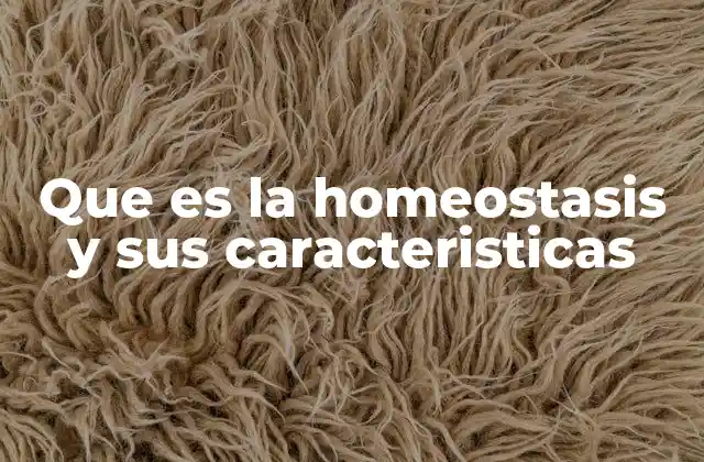 Que es la Homeostasis y Sus Caracteristicas