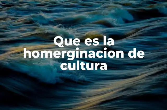 Que es la Homerginacion de Cultura