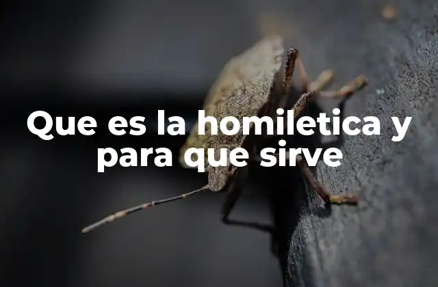 Que es la Homiletica y para que Sirve