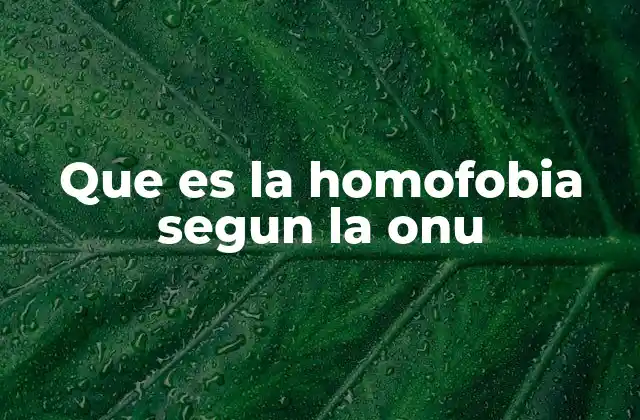 Que es la Homofobia Segun la Onu