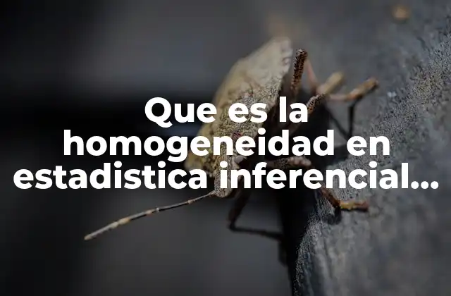 Que es la Homogeneidad en Estadistica Inferencial Ii
