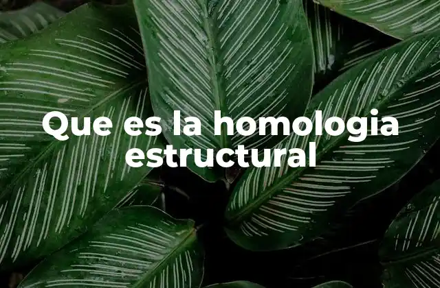 Que es la Homologia Estructural