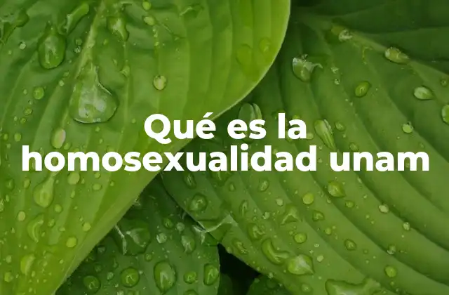 La diversidad sexual en la comunidad universitaria