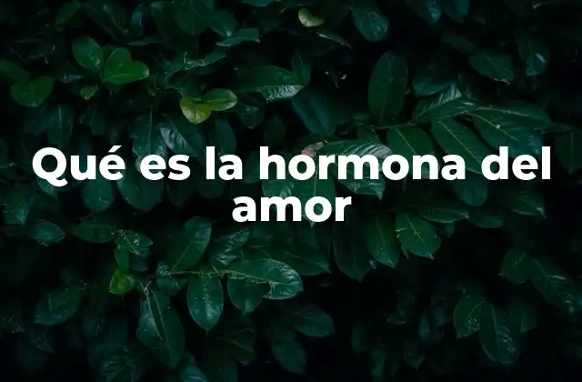 La química detrás del vínculo emocional