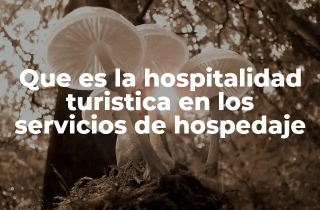 Que es la Hospitalidad Turistica en los Servicios de Hospedaje