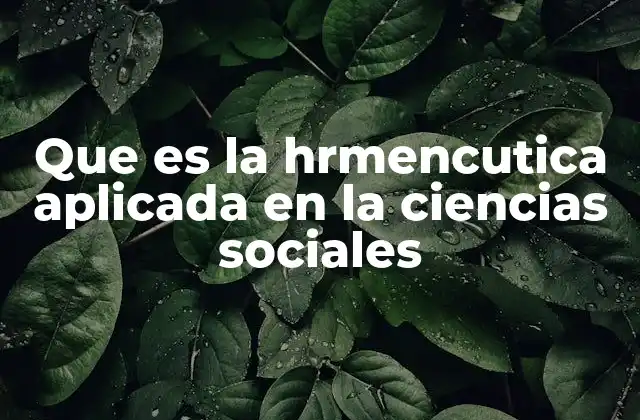 Que es la Hrmencutica Aplicada en la Ciencias Sociales