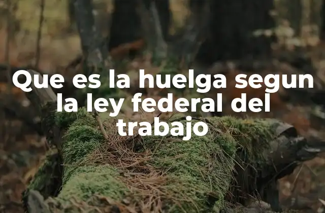 Que es la Huelga Segun la Ley Federal Del Trabajo