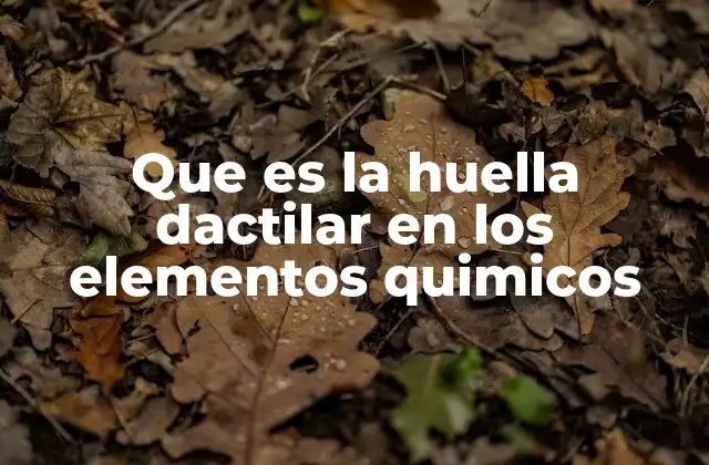 Que es la Huella Dactilar en los Elementos Quimicos