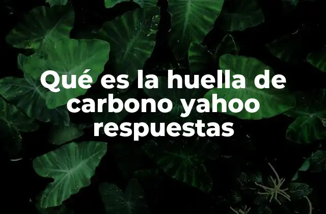 Qué es la Huella de Carbono Yahoo Respuestas