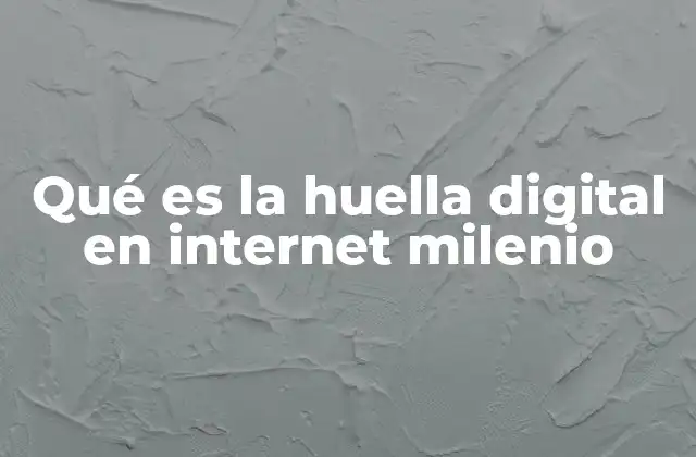 Qué es la Huella Digital en Internet Milenio