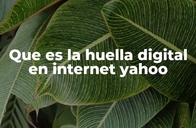 Que es la Huella Digital en Internet Yahoo