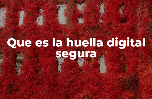 Que es la Huella Digital Segura