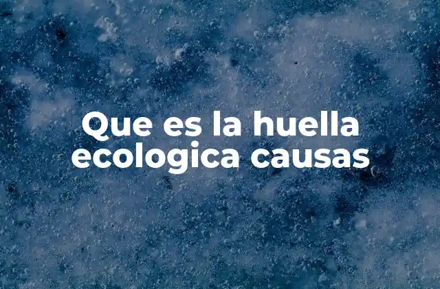 Que es la Huella Ecologica Causas