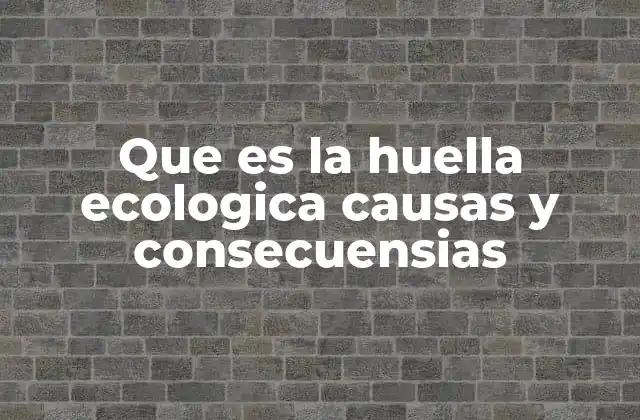 Que es la Huella Ecologica Causas y Consecuensias