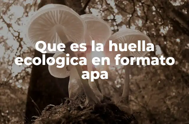 Que es la Huella Ecologica en Formato Apa