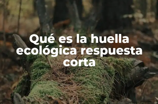Qué es la Huella Ecológica Respuesta Corta