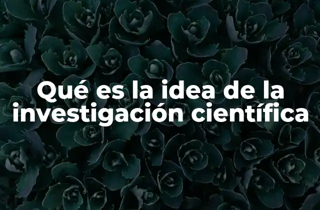 Qué es la Idea de la Investigación Científica