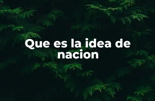 Que es la Idea de Nacion
