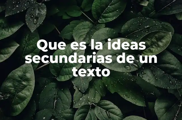 Que es la Ideas Secundarias de un Texto