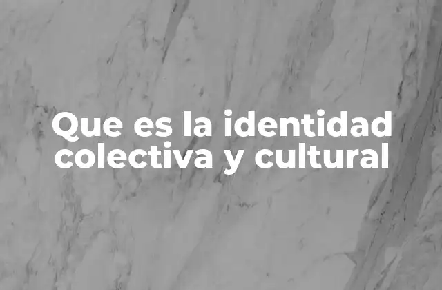 Que es la Identidad Colectiva y Cultural 2 La identidad cultural como base de la pertenencia social