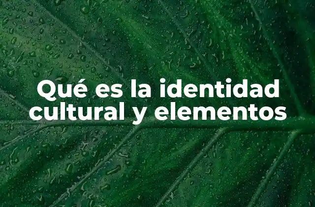 Qué es la Identidad Cultural y Elementos