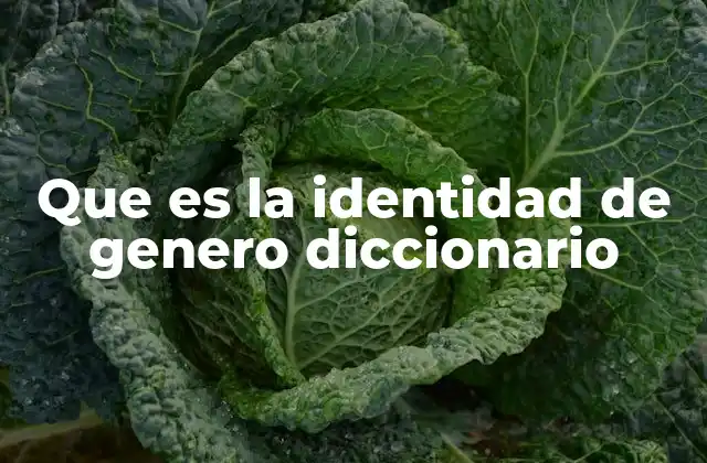 Que es la Identidad de Genero Diccionario