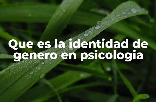 Que es la Identidad de Genero en Psicologia