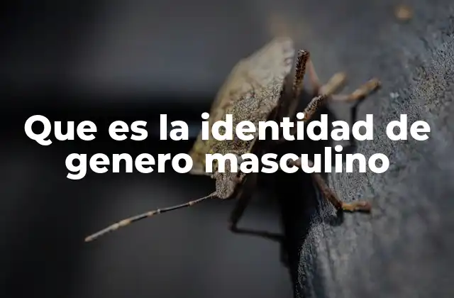Que es la Identidad de Genero Masculino