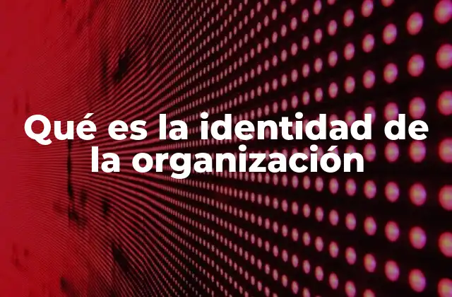 Qué es la Identidad de la Organización