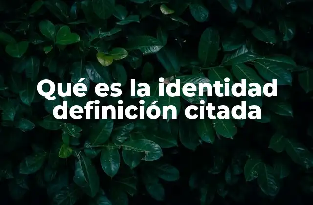 Qué es la Identidad Definición Citada